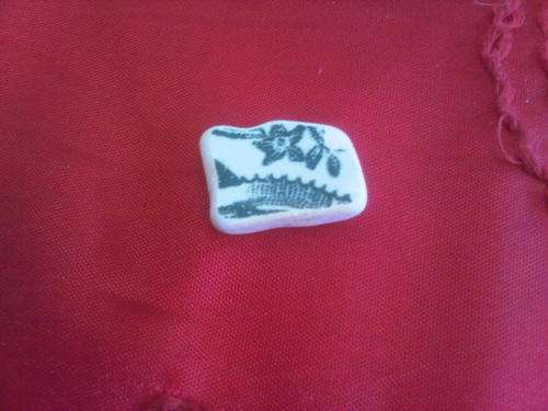South Coast Ship Wreck Pottery Bit