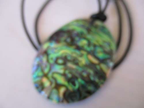 Paula Shell Necklace