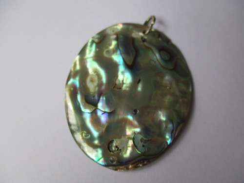 50 x 40 mm Paula Shell