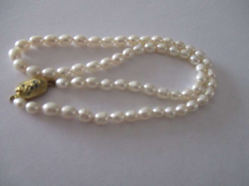 Fresh Water BIWA Pearls and Silver Clasp Necklace