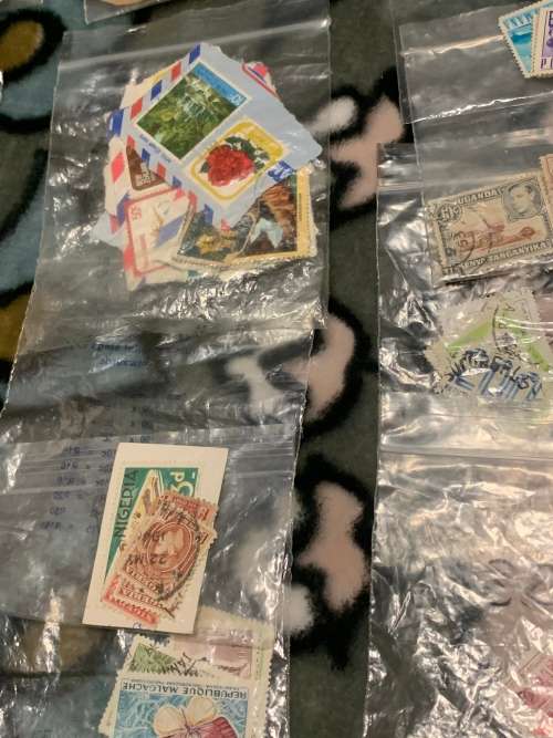 Massive Stamp Collection