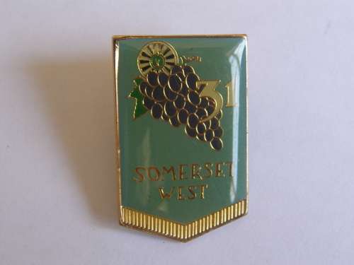 Vintage Round Table Somerset West 31 Enamel Badge