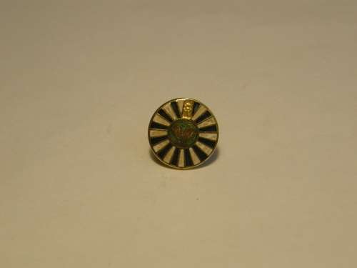 Vintage Round Table Eagle Symbol Enamel Badge