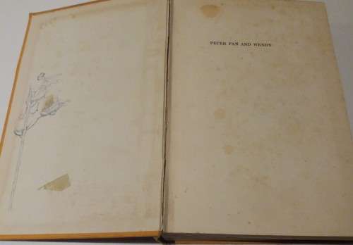 JM Barrie - Peter Pan and Wendy (pictured by Mabel Lucy Attwell) - Hodder & Stoughton
