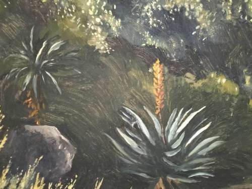 Oil - Ted Hoefsloot