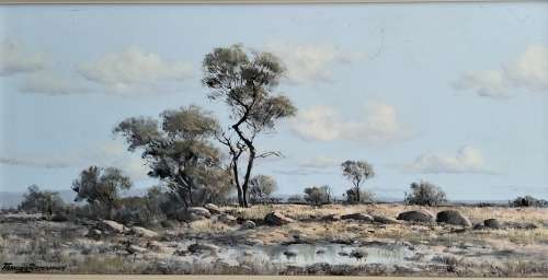 Francois Badenhorst - Oil on board