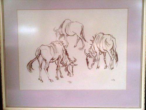 Zakkie Eloff - Sepia ink on paper - Large (Wildebeest)