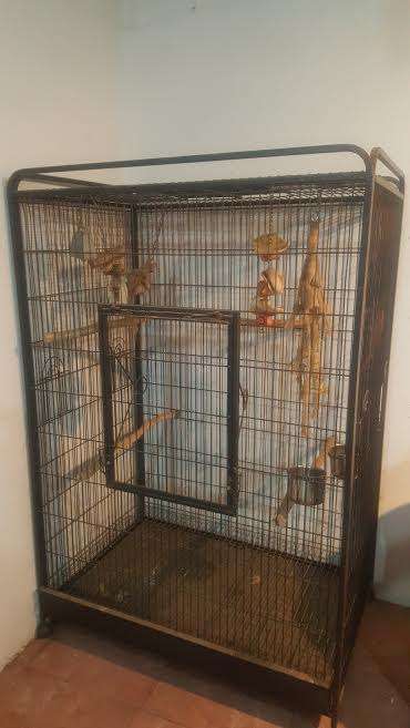 Macaw Cage
