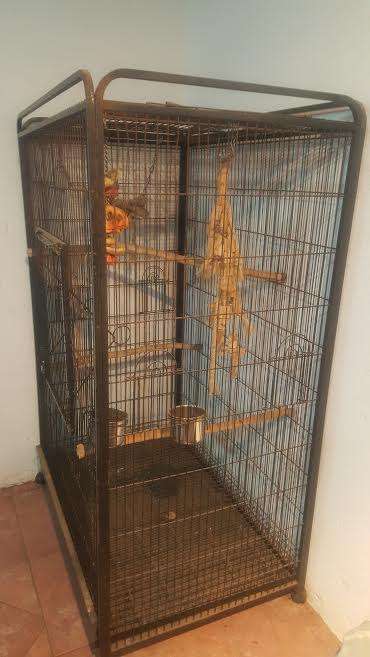 Macaw Cage