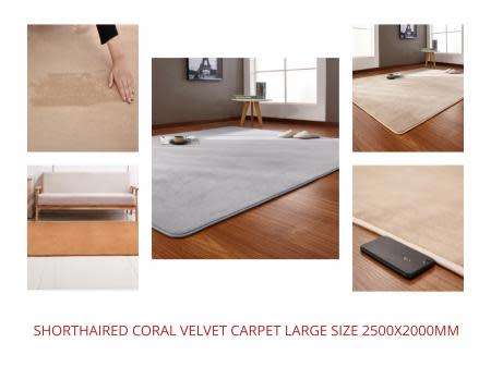 LUXURIOUS CARPET -SUPER SOFT BEAUTIFUL : Measures 2.5 m x 2.0m  -Short-haired coral velvet carpet li