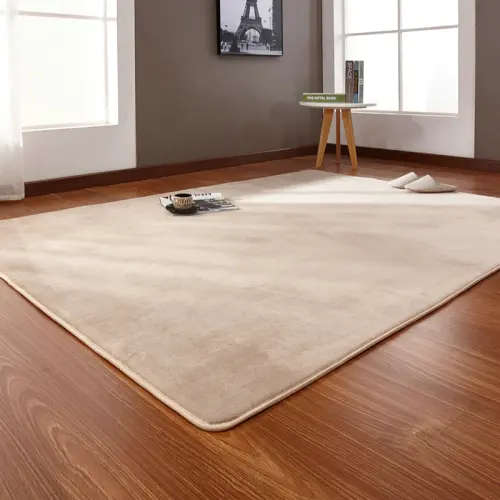 LUXURIOUS CARPET -SUPER SOFT BEAUTIFUL : Measures 2.5 m x 2.0m  -Short-haired coral velvet carpet li