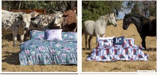 Luxury New Arrivals stunning*Pierre Cardin Comforters..Quality is superb sizes available queen ,