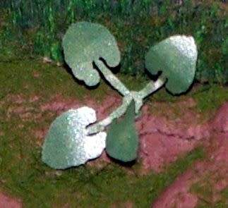 HO Scale - Laser Cut Plants - Elephant`s Ear
