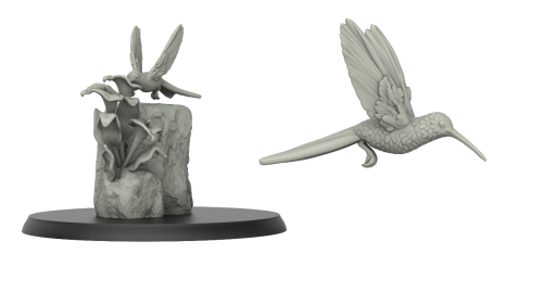 Hummingbird and Rock