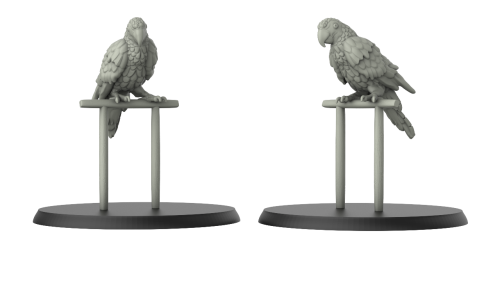 Parrot and Railing