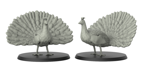 Peacock (2 Pack)