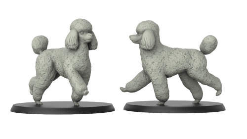 Poodle