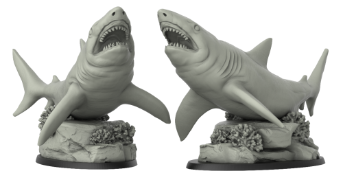 Shark 2 and Rock
