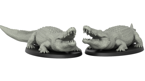 Crocodile 2