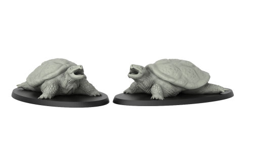 Galapagos Tortoise