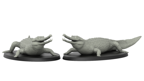 Gavial Crocodile