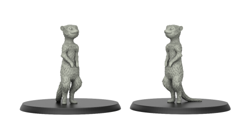 Meerkat