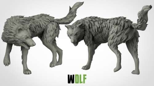Wolf