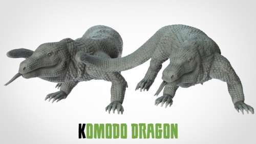 1:87 Scale - Komodo Dragon