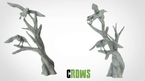 Crows