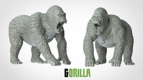 Gorilla