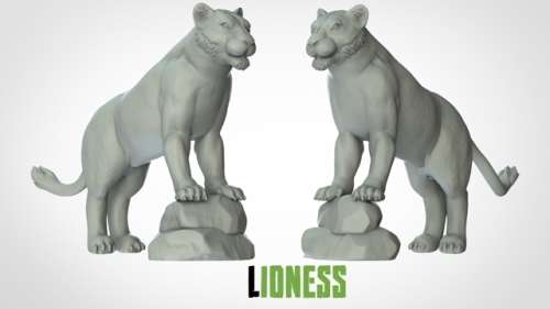 Lioness