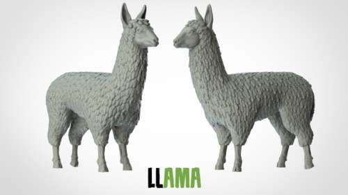 Llama