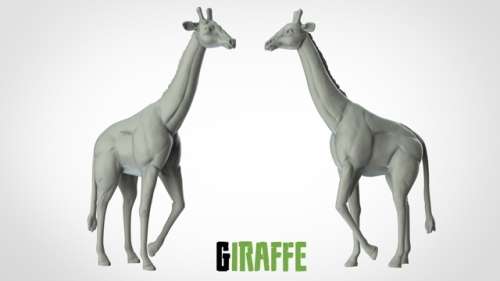 1:72 Scale - Giraffe