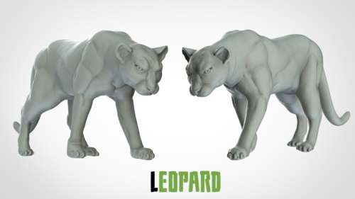 Leopard