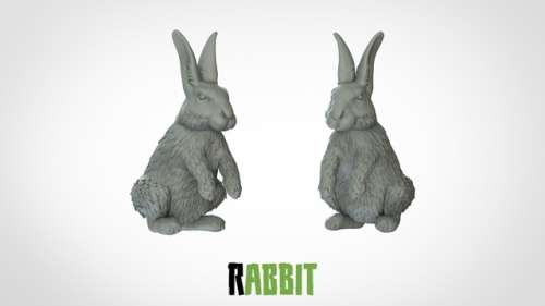 1:87 Scale - Rabbit (10 Pack)