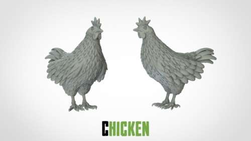 Chicken