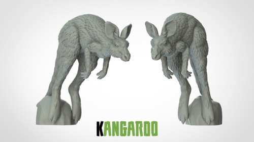 Kangaroo