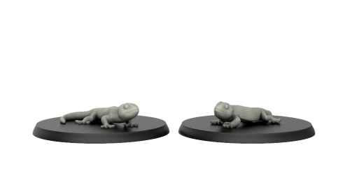 Salamander (2 Pack)