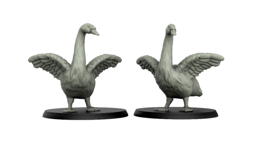 Swan