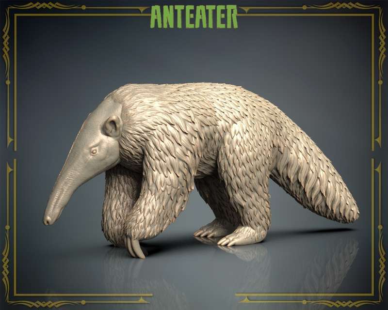 Animals Set 3 - Anteater