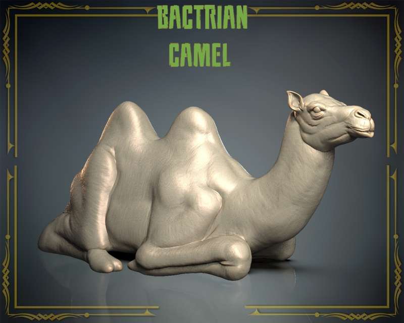 Animals Set 3 - 1:72 Scale - Bactrian Camel