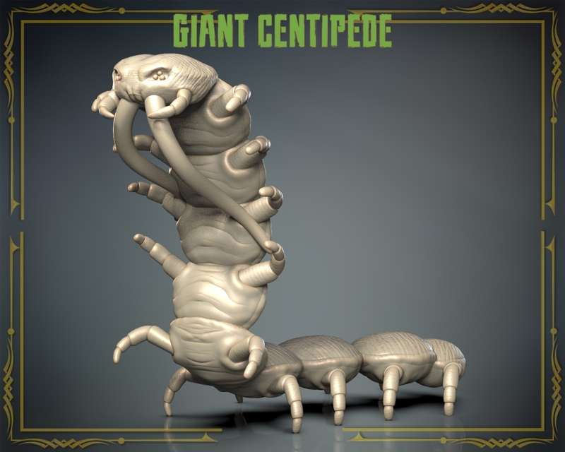 Animals Set 3 - Giant Centipede