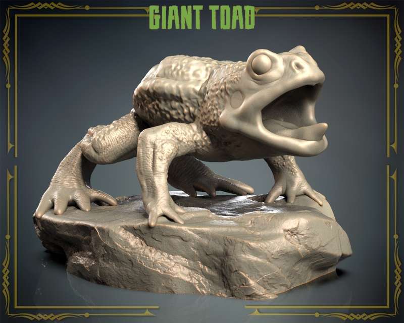 Animals Set 3 - Gian Toad
