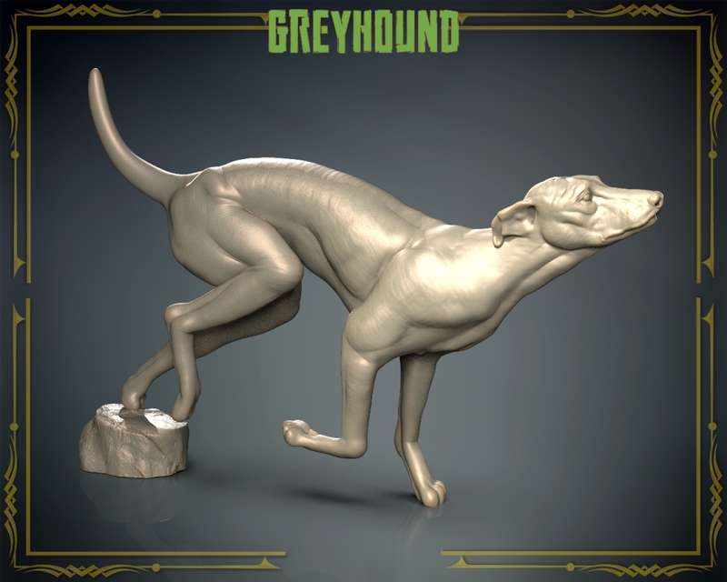 Animals Set 3 - 1:72 Scale - Greyhound (5 Pack)