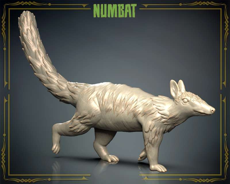 Animals Set 3 - Numbat