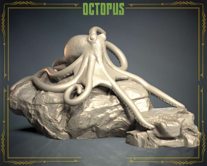 Animals Set 3 - Octopus