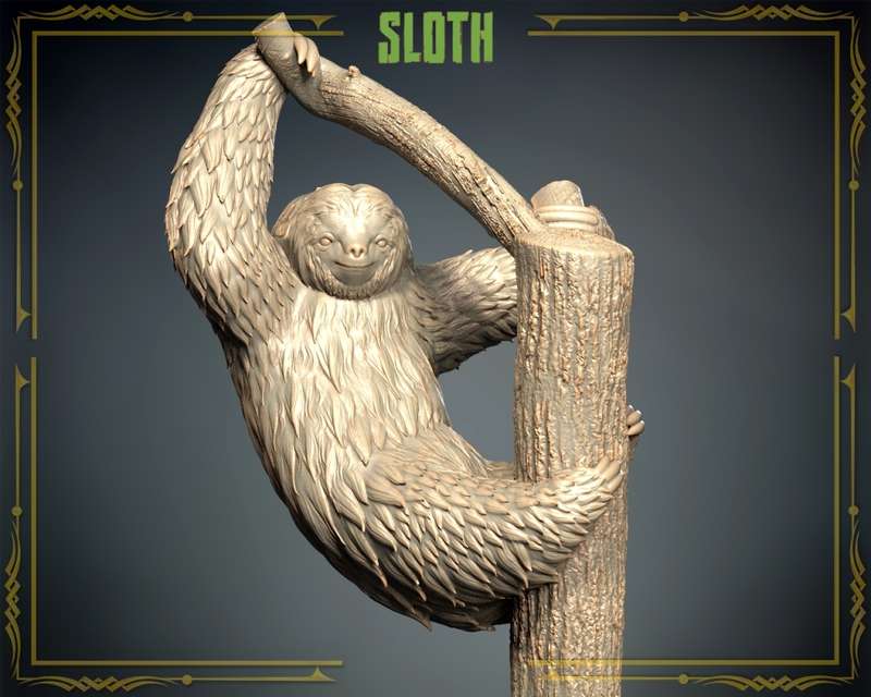 Animals Set 3 - Sloth