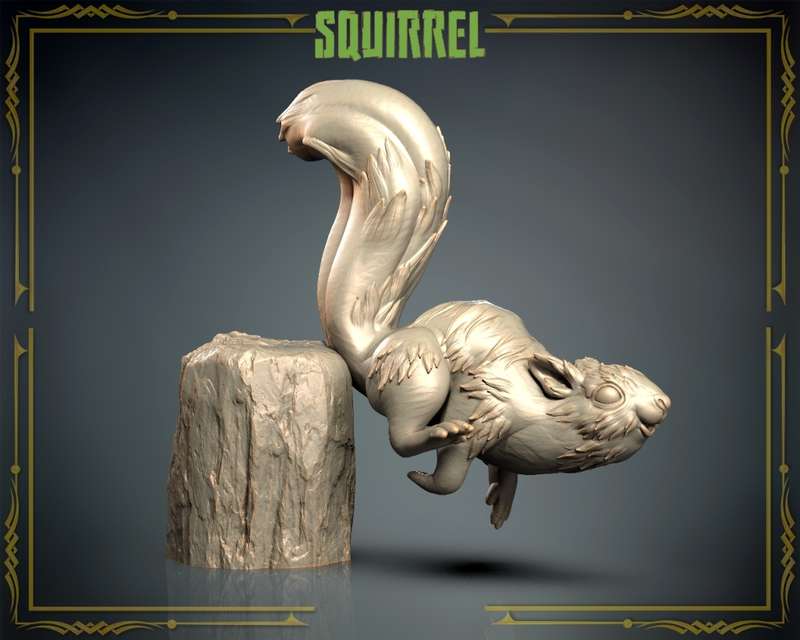 Animals Set 3 - Squirrel