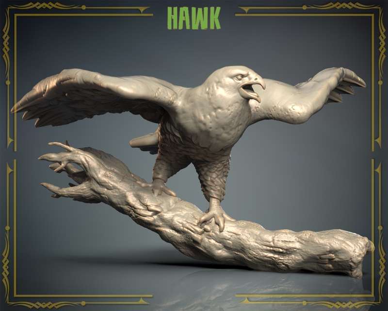 Animals Set 3 - Hawk