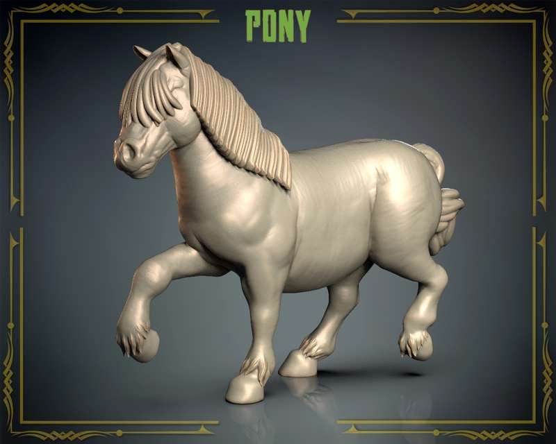 Animals Set 3 - Pony